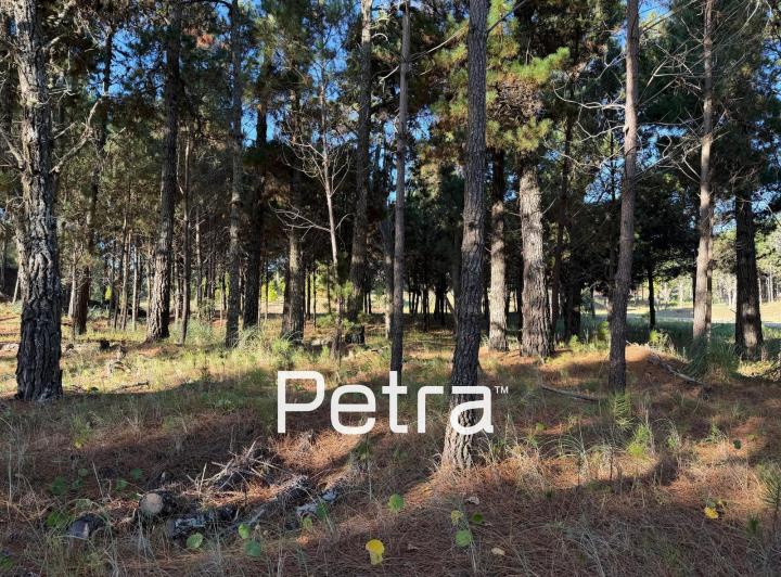 Terreno · 819m²