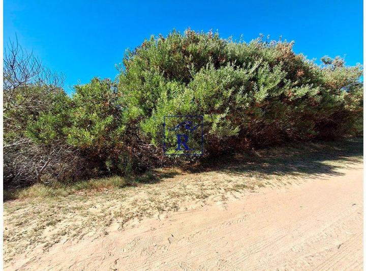 Terreno · 1030m²