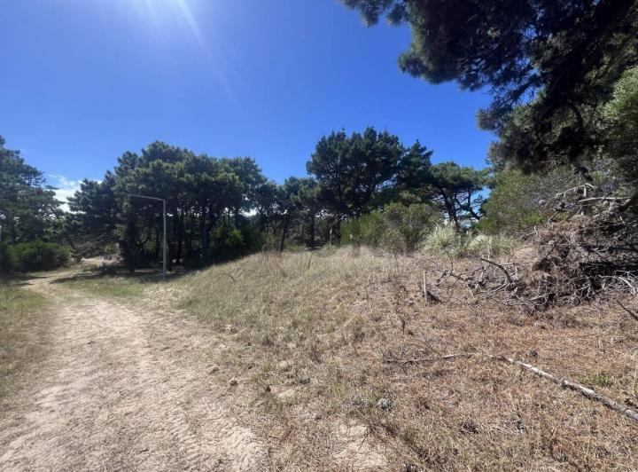 Terreno · 2400m²