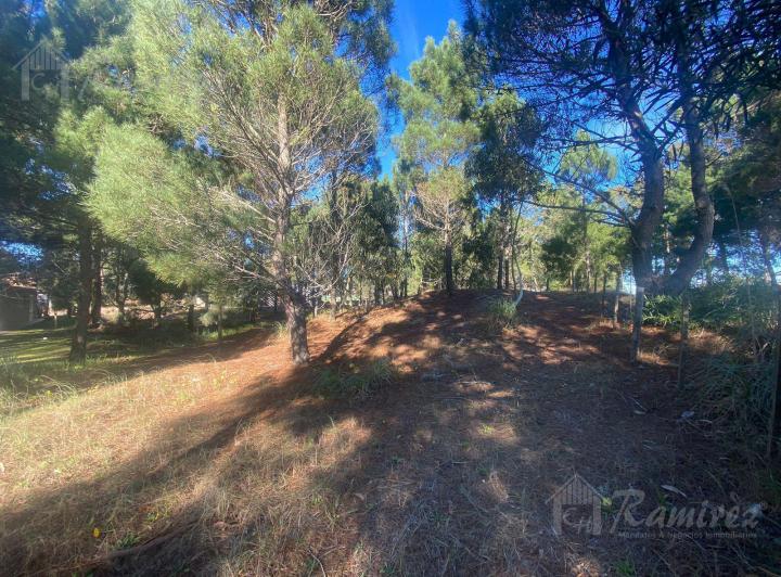 Terreno · 1011m²