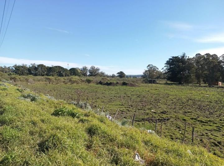 Terreno · 5000m²