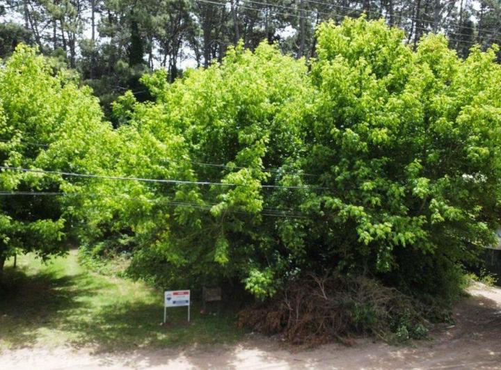 Terreno · 307m²