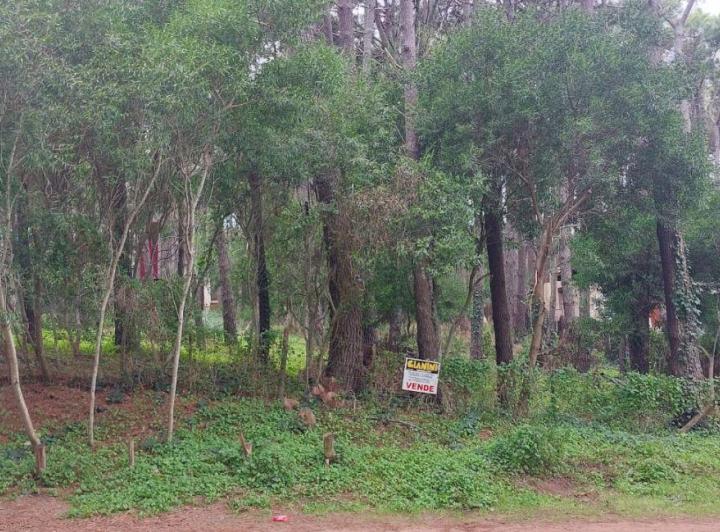 Terreno · 950m²