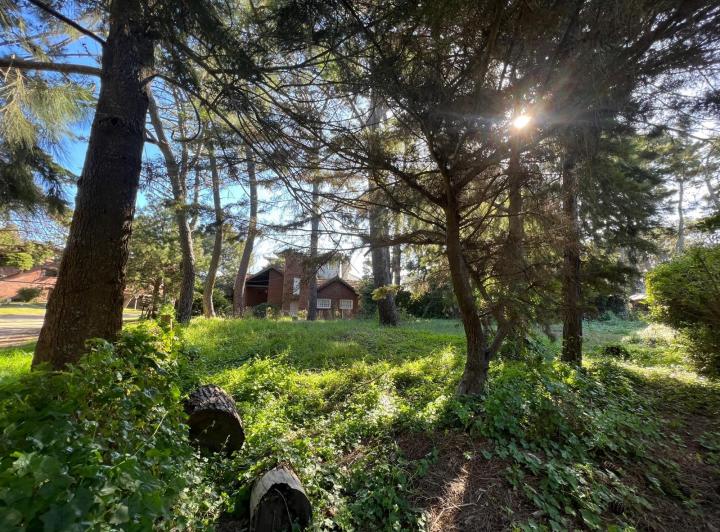 Terreno · 450m²