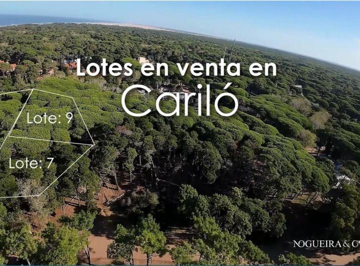 Terreno · 1639m²