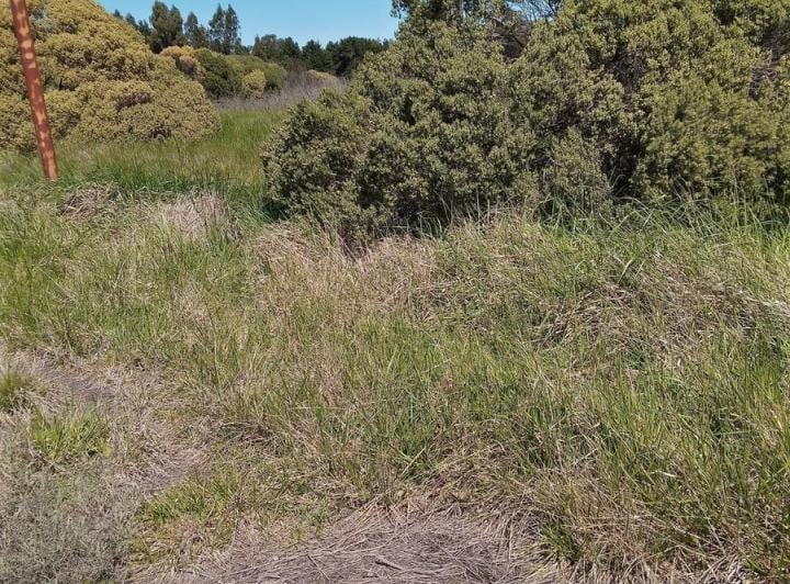 Terreno · 427m²