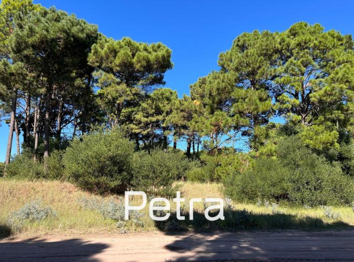 Terreno · 705m²