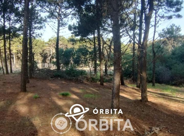Terreno · 1012m²