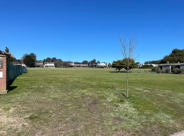 Terreno · 980m²
