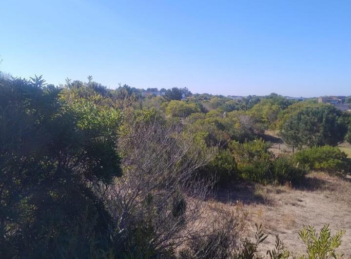 Terreno · 967m²