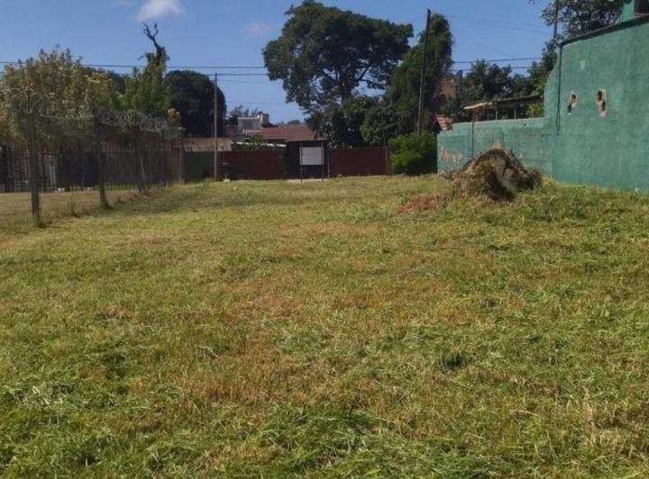 Terreno · 342m²