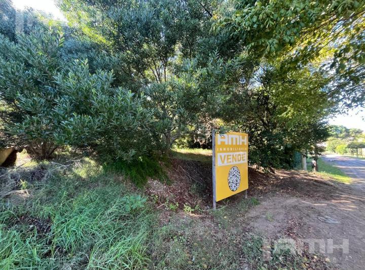 Terreno · 593m²