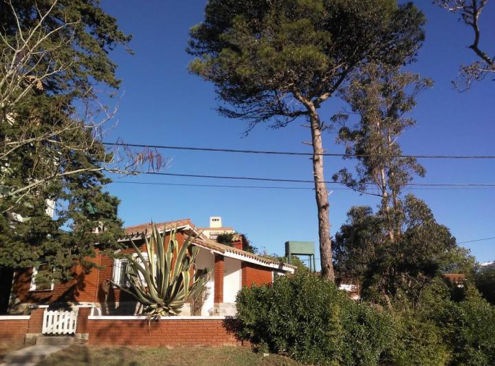 Terreno · 50m² · 3 Ambientes