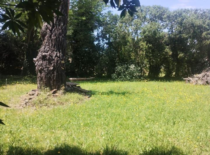 Terreno