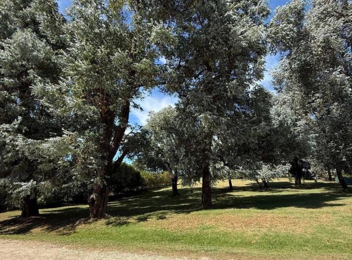 Terreno · 1015m²