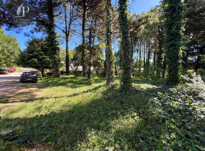 Terreno · 973m²