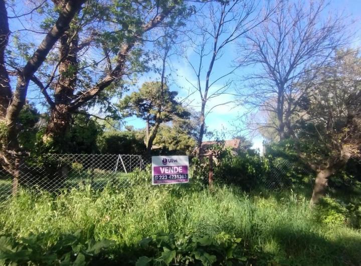 Terreno · 498m²
