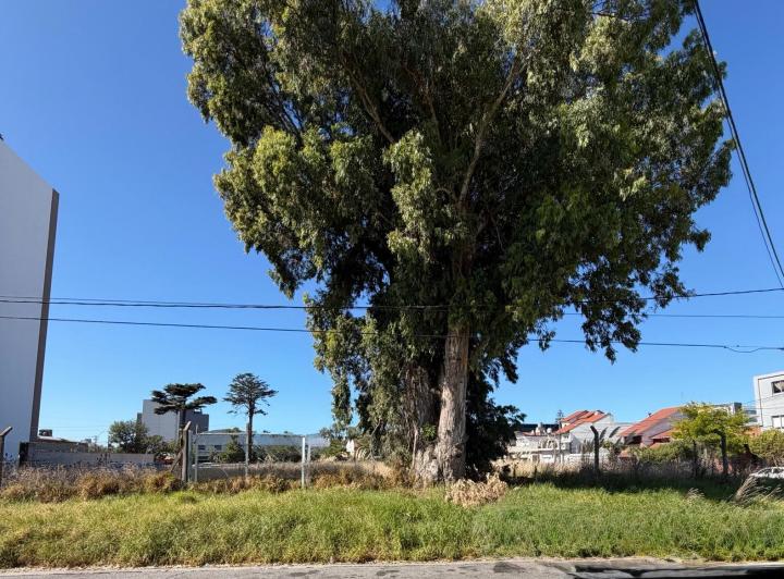 Terreno · 670m²