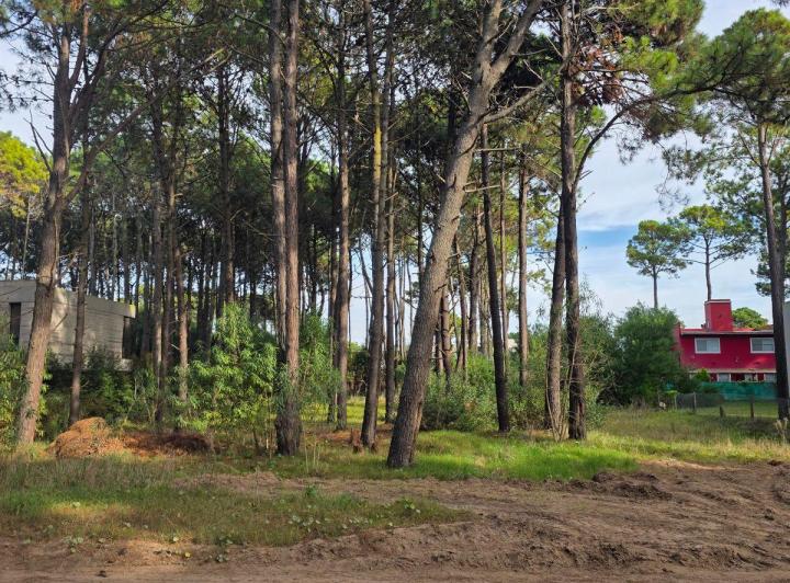 Terreno · 834m²