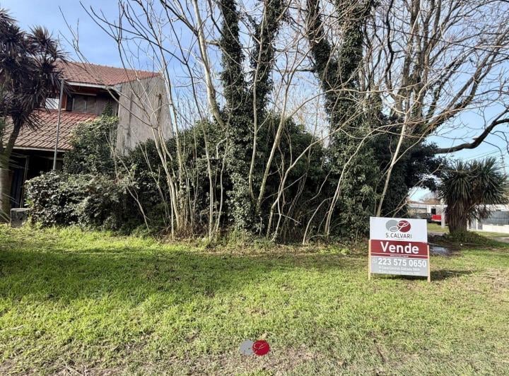Terreno · 369m²