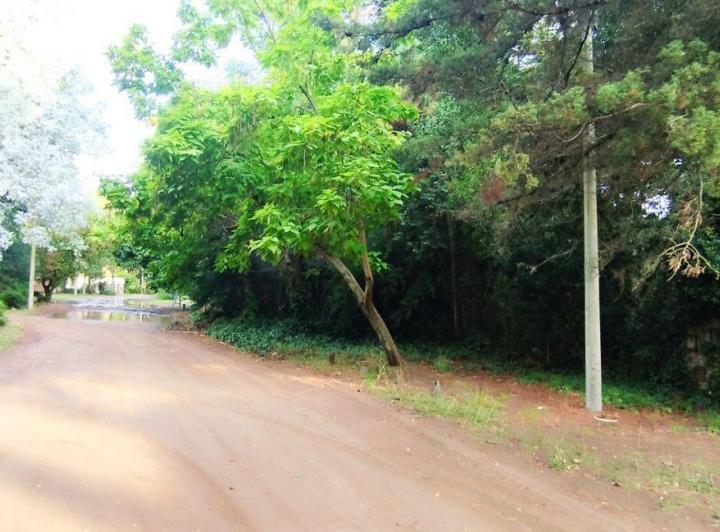 Terreno · 1550m²