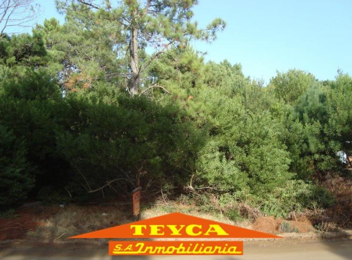 Terreno · 998m²