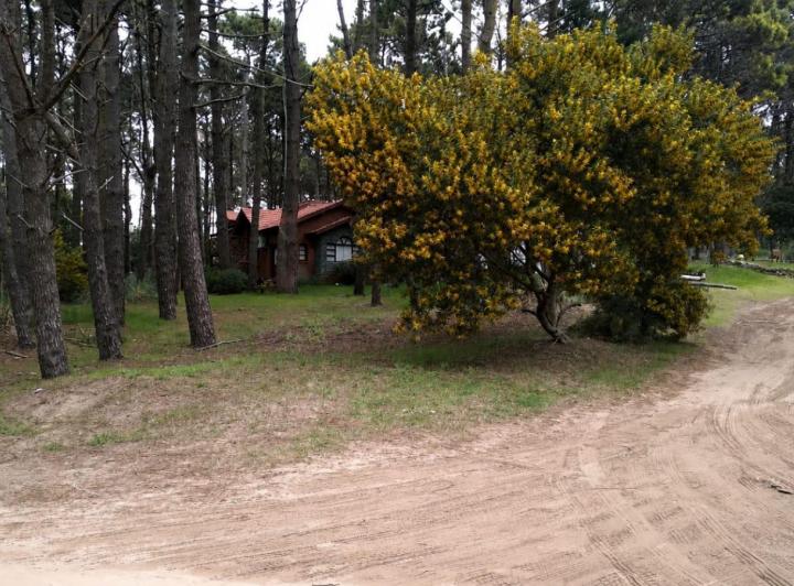 Terreno · 450m²