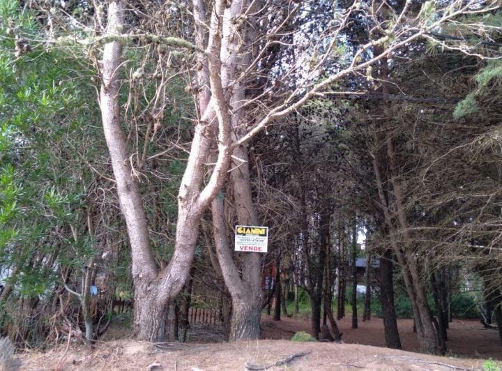 Terreno · 325m²