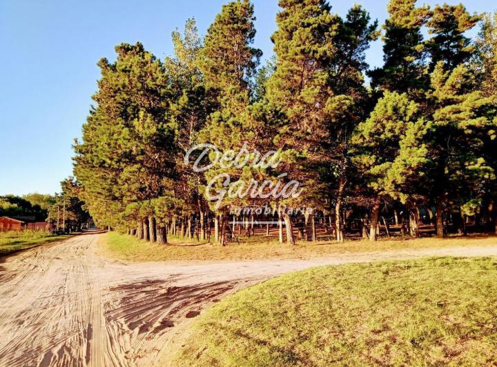 Terreno · 2050m²