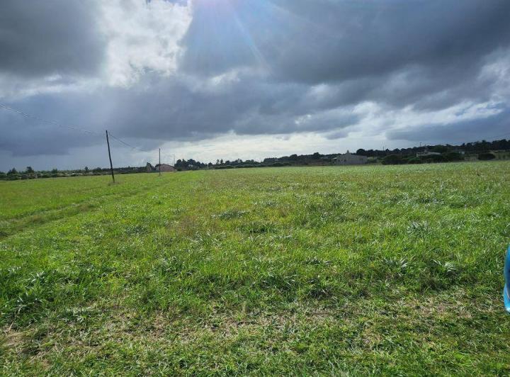 Terreno · 445m²