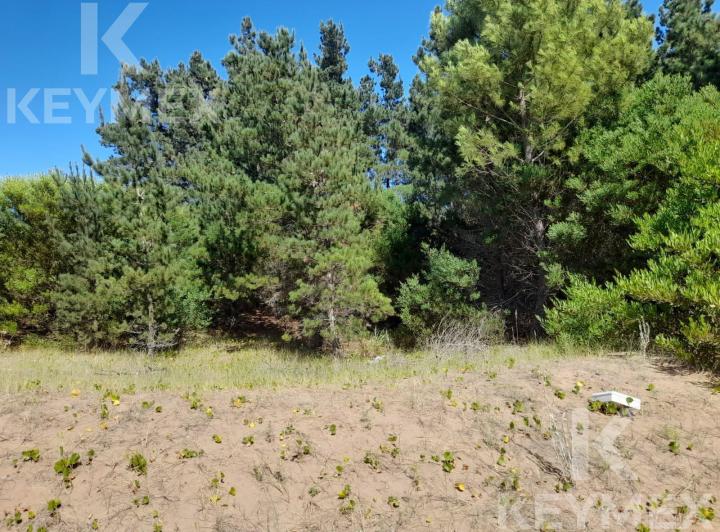 Terreno · 900m²