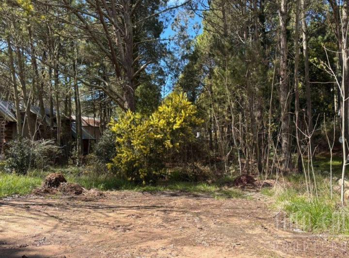 Terreno · 1024m²
