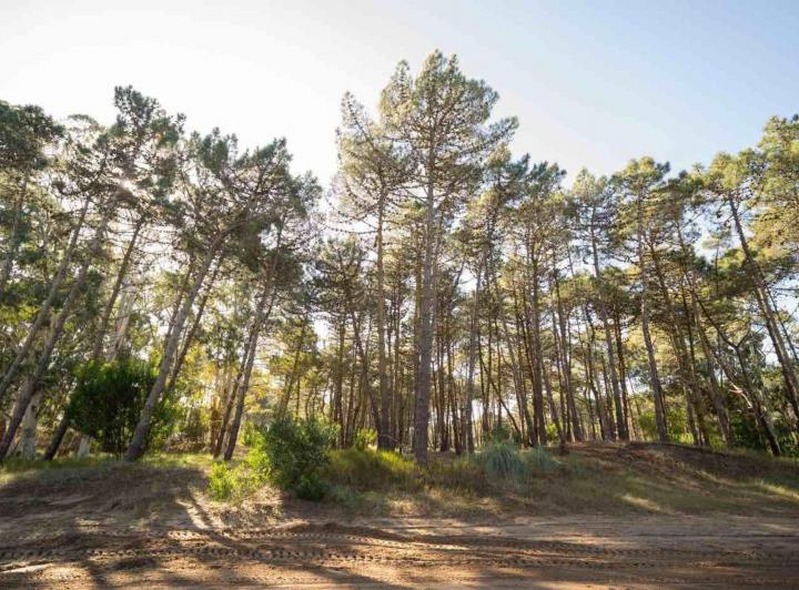 Terreno · 1085m²