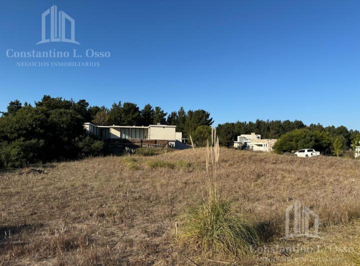 Terreno · 1000m²