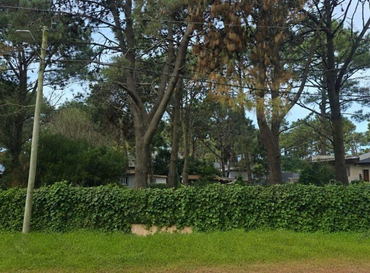 Terreno · 428m²