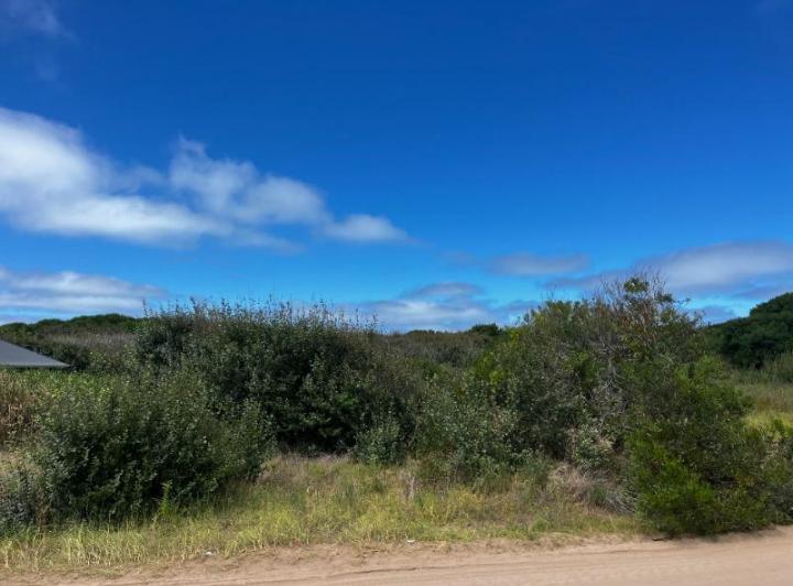 Terreno · 1000m²