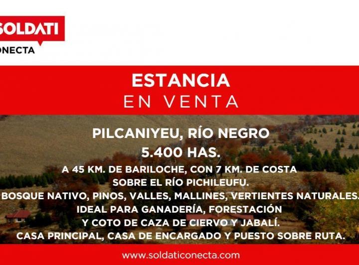 Campo · 54000000m²
