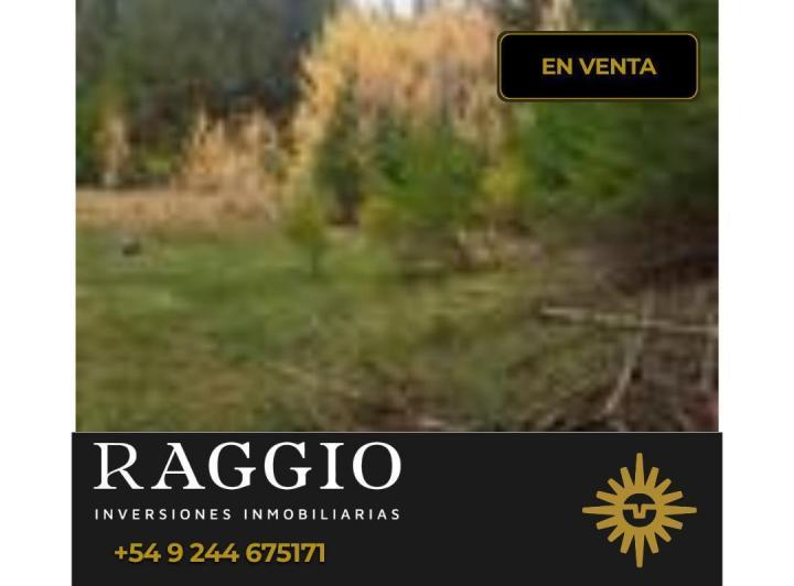 Terreno · 1ha
