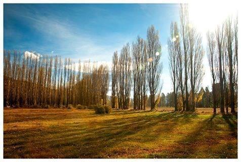 Terreno · 1067m²