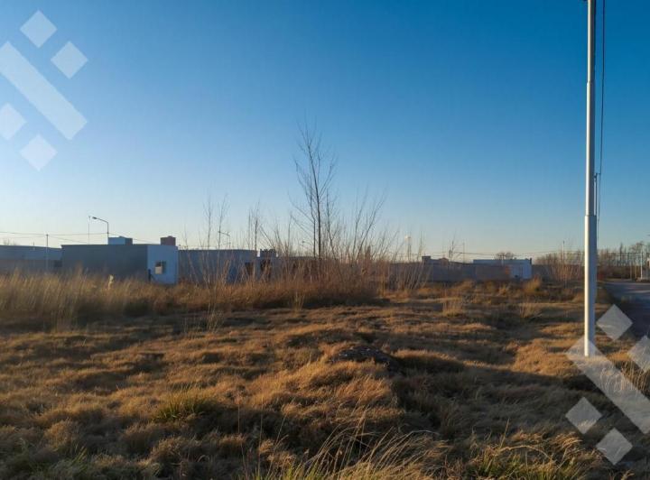 Terreno · 312m²