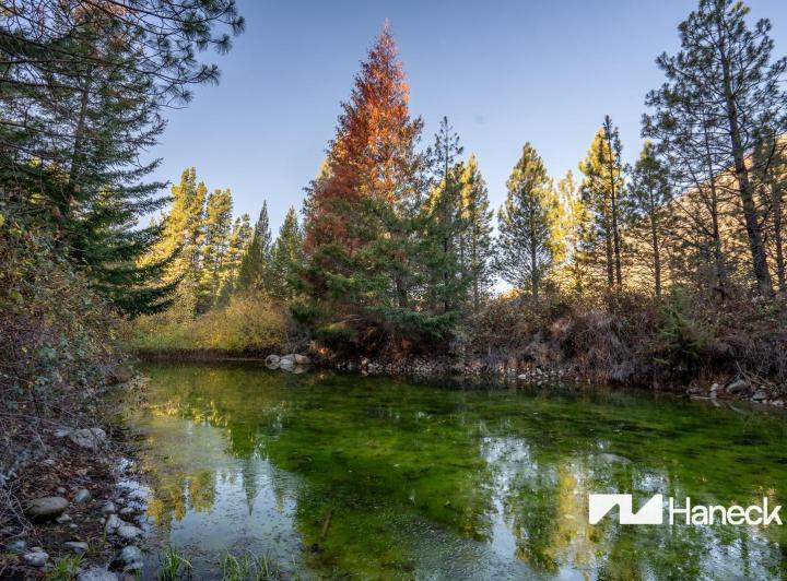 Campo · 75000ha