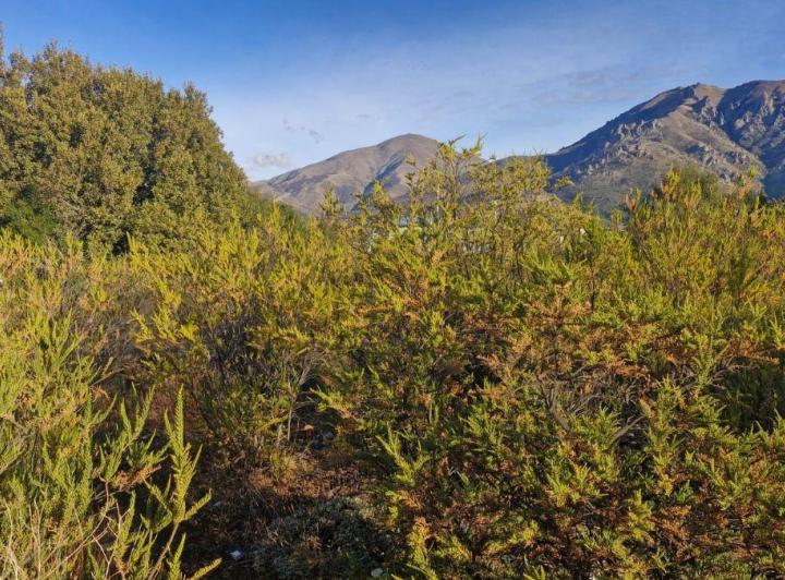 Terreno · 200m²