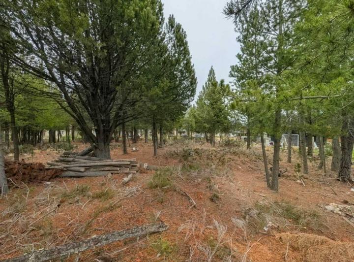 Terreno · 250m²