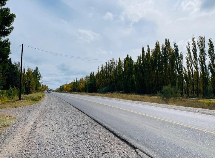 Campo · 51000m²