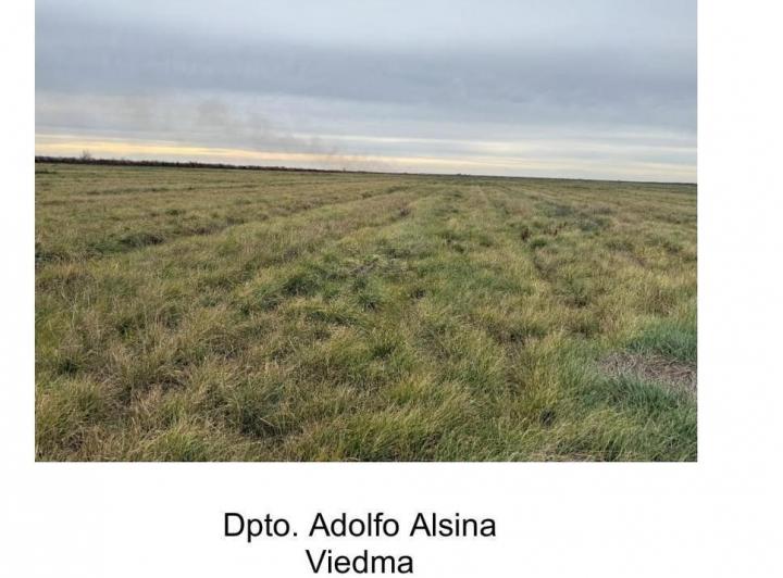 Campo · 6500000m²