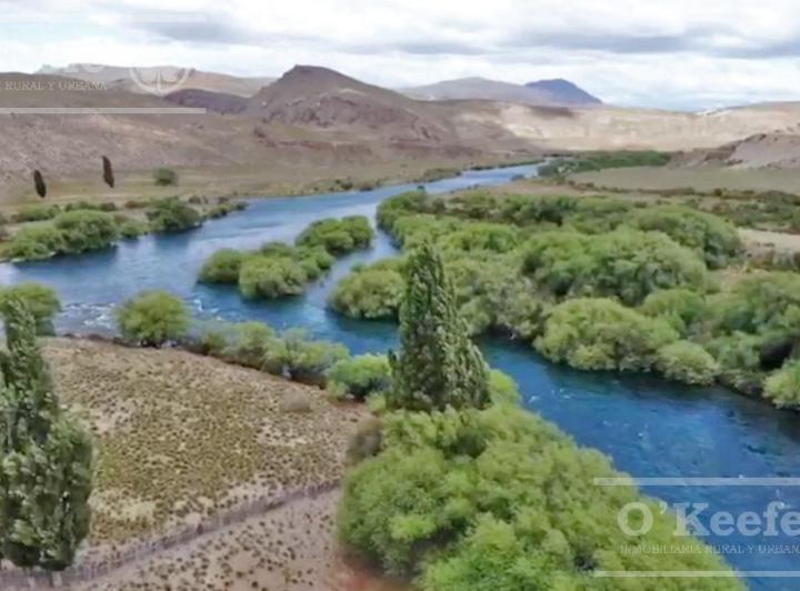 Campo · 98000ha
