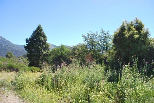 Terreno · 1144m²