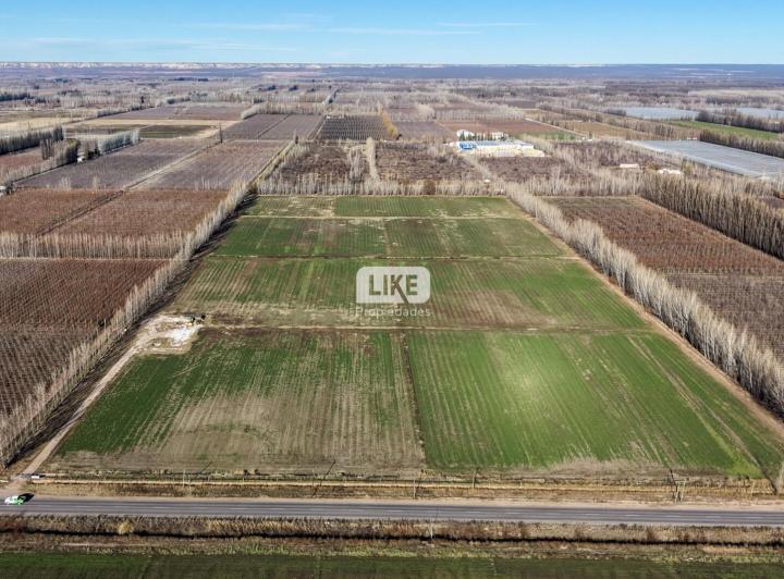 Terreno · 125000m²