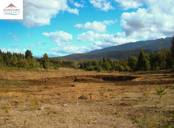 Campo · 60m² · 4 Ambientes