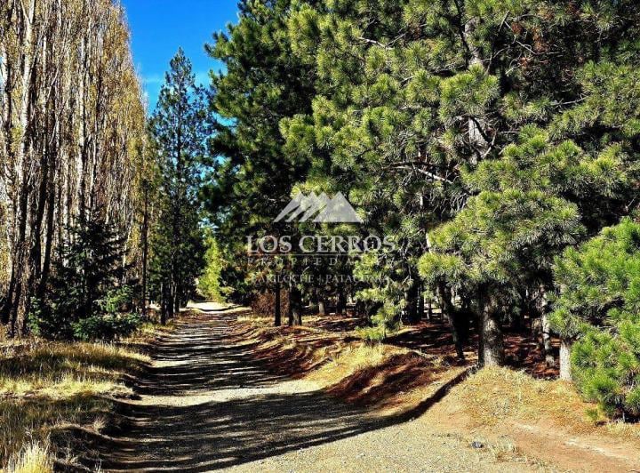 Terreno · 2505m²